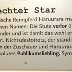 Haruurara – ein echter Star?