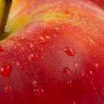 Nächste Woche – next week